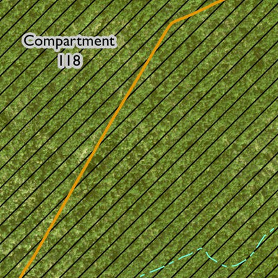 Individal Compartment Map of the Davy Crockett National Forest v20 Preview 2