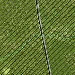 Individal Compartment Map of the Davy Crockett National Forest v20 Preview 3