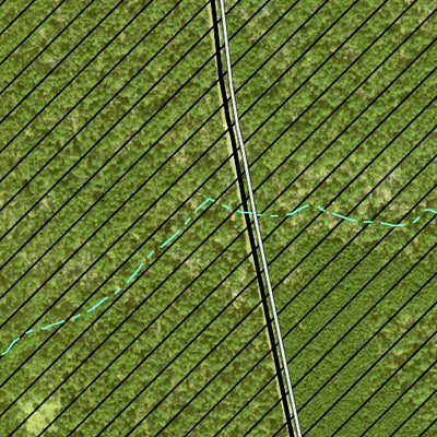 Individal Compartment Map of the Davy Crockett National Forest v20 Preview 3