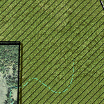 Individal Compartment Map of the Davy Crockett National Forest v15 Preview 3