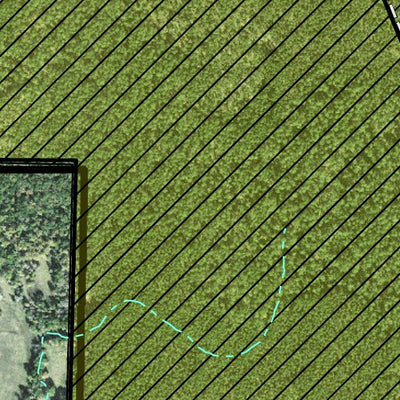 Individal Compartment Map of the Davy Crockett National Forest v15 Preview 3