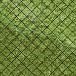 Individal Compartment Map of the Davy Crockett National Forest v39 Preview 2