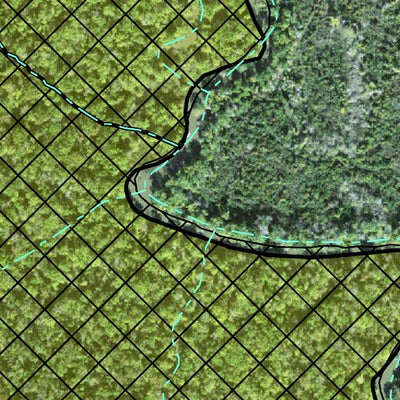 Individal Compartment Map of the Davy Crockett National Forest v39 Preview 3