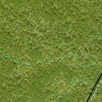 Individal Compartment Map of the Davy Crockett National Forest v11 Preview 2
