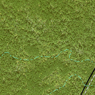Individal Compartment Map of the Davy Crockett National Forest v11 Preview 2