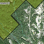 Individal Compartment Map of the Davy Crockett National Forest v11 Preview 3