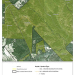 Individal Compartment Map of the Davy Crockett National Forest v26 Preview 1