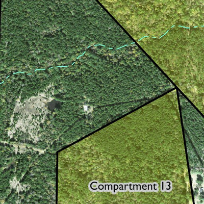 Individal Compartment Map of the Davy Crockett National Forest v26 Preview 2