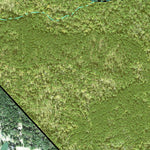 Individal Compartment Map of the Davy Crockett National Forest v26 Preview 3