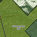 Individal Compartment Map of the Davy Crockett National Forest v1 Preview 2