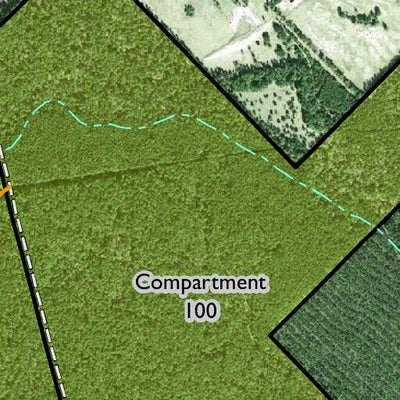 Individal Compartment Map of the Davy Crockett National Forest v1 Preview 2