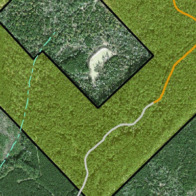 Individal Compartment Map of the Davy Crockett National Forest v1 Preview 3