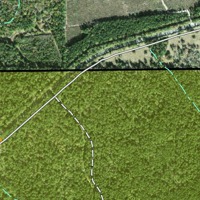 Individal Compartment Map of the Davy Crockett National Forest v10 Preview 2