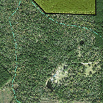 Individal Compartment Map of the Davy Crockett National Forest v10 Preview 3