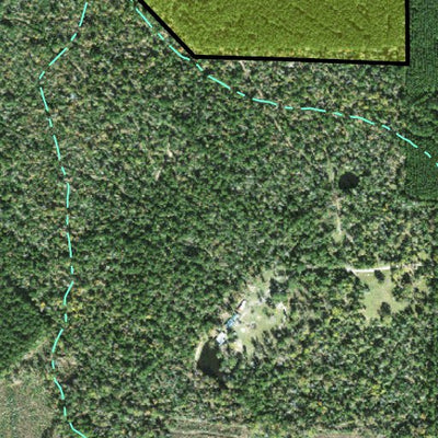 Individal Compartment Map of the Davy Crockett National Forest v10 Preview 3