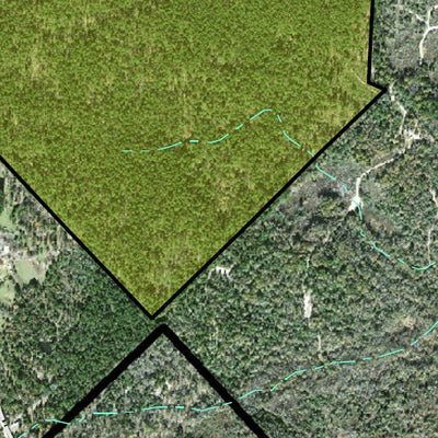 Individal Compartment Map of the Davy Crockett National Forest v33 Preview 2