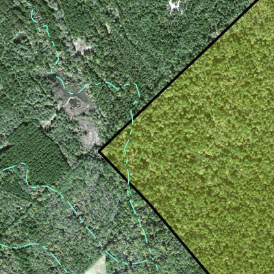 Individal Compartment Map of the Davy Crockett National Forest v36 Preview 3