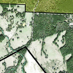Individal Compartment Map of the Davy Crockett National Forest v25 Preview 2