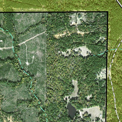 Individal Compartment Map of the Davy Crockett National Forest v25 Preview 3