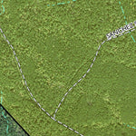 Individal Compartment Map of the Davy Crockett National Forest v37 Preview 2