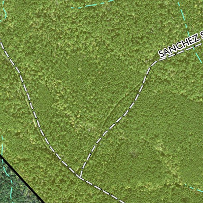 Individal Compartment Map of the Davy Crockett National Forest v37 Preview 2