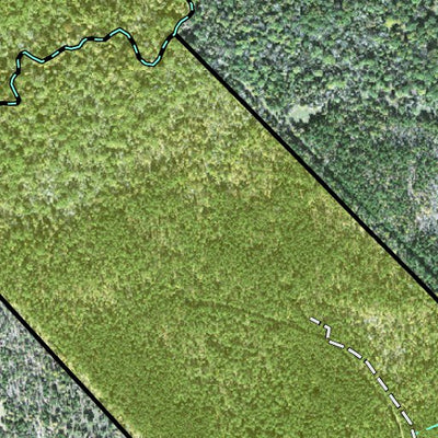 Individal Compartment Map of the Davy Crockett National Forest v37 Preview 3