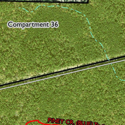 Individal Compartment Map of the Davy Crockett National Forest v51 Preview 2
