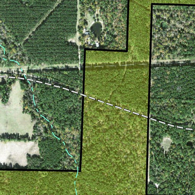 Individal Compartment Map of the Davy Crockett National Forest v51 Preview 3