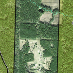 Individal Compartment Map of the Davy Crockett National Forest v8 Preview 3