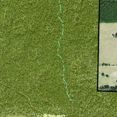 Individal Compartment Map of the Davy Crockett National Forest v9 Preview 2