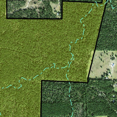 Individal Compartment Map of the Davy Crockett National Forest v9 Preview 3