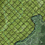 Individal Compartment Map of the Davy Crockett National Forest v35 Preview 2