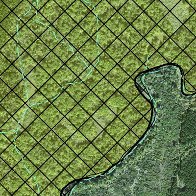 Individal Compartment Map of the Davy Crockett National Forest v35 Preview 2