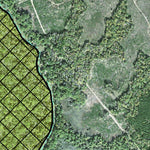Individal Compartment Map of the Davy Crockett National Forest v35 Preview 3