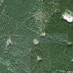 Individal Compartment Map of the Davy Crockett National Forest v40 Preview 3