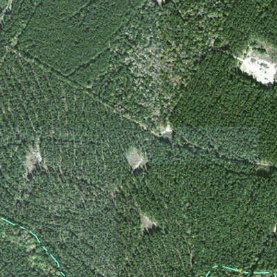 Individal Compartment Map of the Davy Crockett National Forest v40 Preview 3