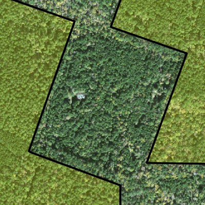 Individal Compartment Map of the Davy Crockett National Forest v46 Preview 3