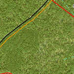 Individal Compartment Map of the Davy Crockett National Forest v58 Preview 2