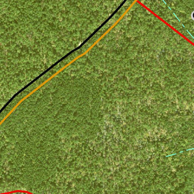 Individal Compartment Map of the Davy Crockett National Forest v58 Preview 2