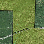 Individal Compartment Map of the Davy Crockett National Forest v42 Preview 3