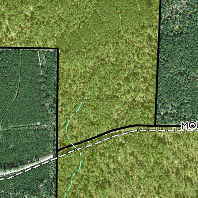 Individal Compartment Map of the Davy Crockett National Forest v42 Preview 3