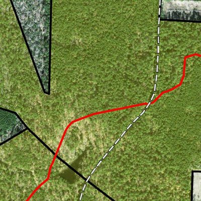 Individal Compartment Map of the Davy Crockett National Forest v53 Preview 2