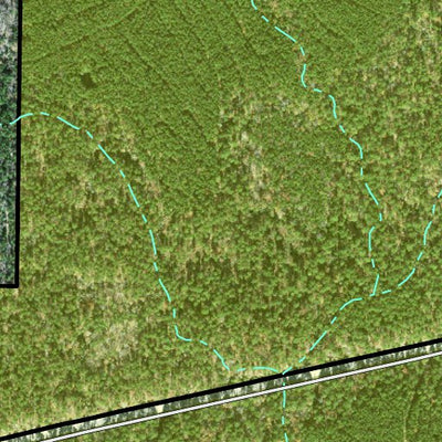 Individal Compartment Map of the Davy Crockett National Forest v53 Preview 3