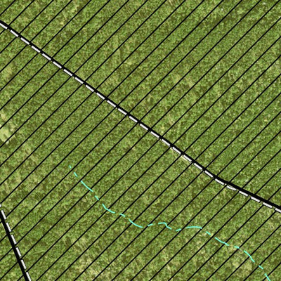 Individal Compartment Map of the Davy Crockett National Forest v16 Preview 3