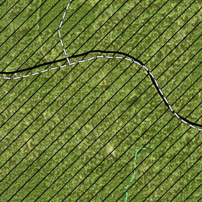 Individal Compartment Map of the Davy Crockett National Forest v17 Preview 3