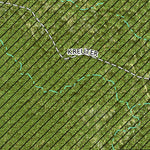 Individal Compartment Map of the Davy Crockett National Forest v24 Preview 2