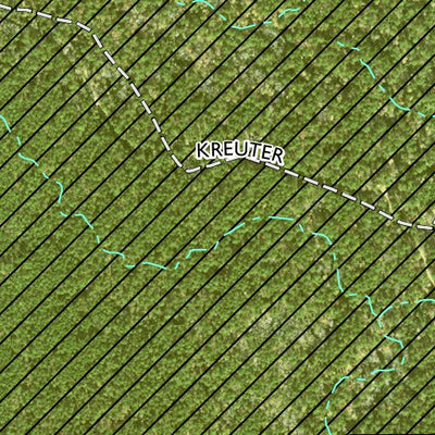 Individal Compartment Map of the Davy Crockett National Forest v24 Preview 2