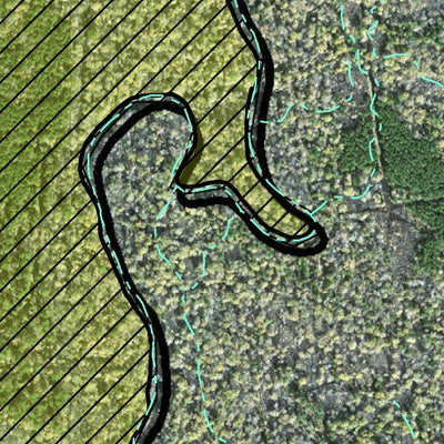 Individal Compartment Map of the Davy Crockett National Forest v24 Preview 3