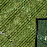 Individal Compartment Map of the Davy Crockett National Forest v18 Preview 2