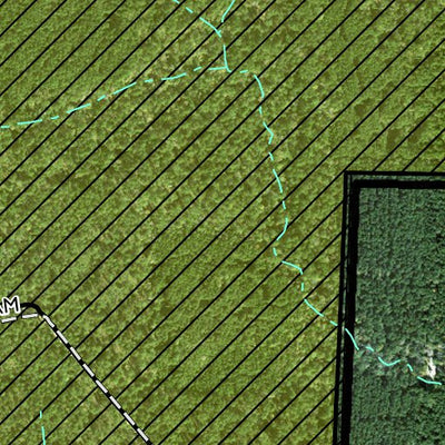 Individal Compartment Map of the Davy Crockett National Forest v18 Preview 2